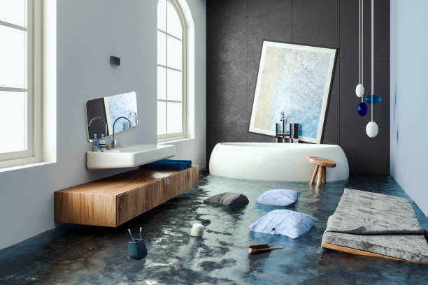 Best Residential water damage restoration  in Versailles, MO