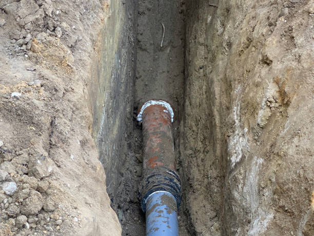 Best Basement water damage restoration  in Versailles, MO