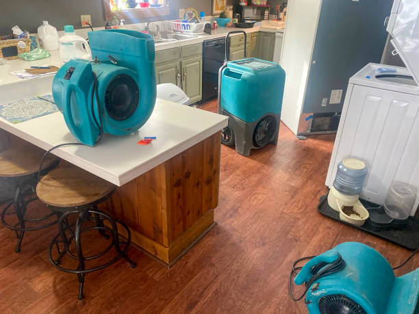 Best Emergency water damage restoration  in Versailles, MO