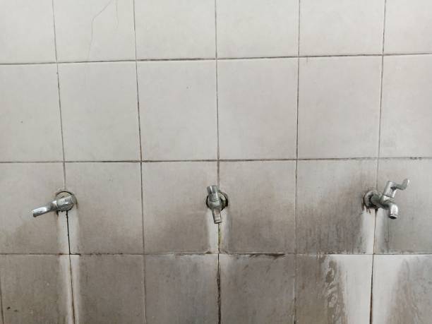 Best 24/7 water damage repair  in Versailles, MO