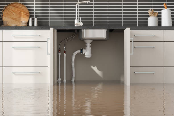 Best Flood damage cleanup  in Versailles, MO